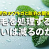 ワキガと脇毛の関係 清潔感のイメージ