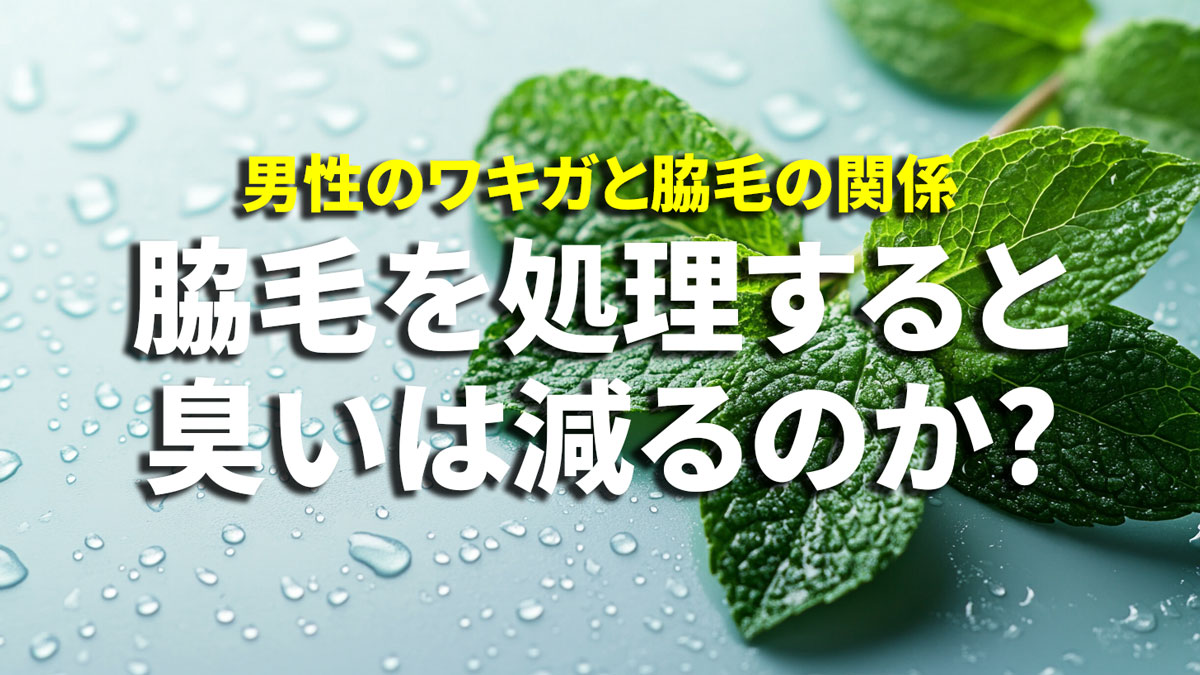 ワキガと脇毛の関係 清潔感のイメージ